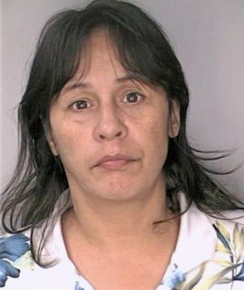 Lopez Rosa - Hillsborough County, FL 