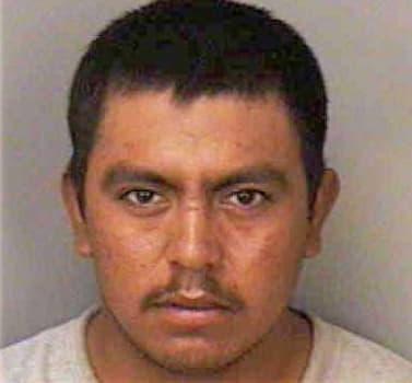 Dionicio-Guillermo Miguel - Polk County, FL 