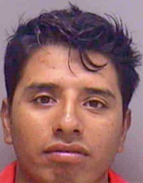Anzures Antonio - Lee County, FL 