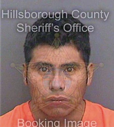 Montalvoarrillaga Fidel - Hillsborough County, FL 