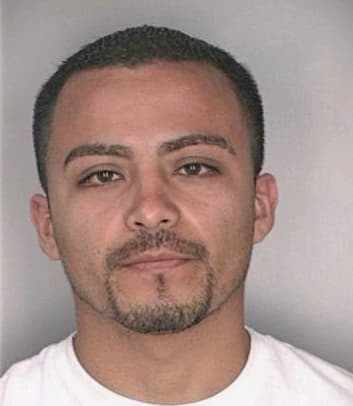 Arreola Jesus - Hillsborough County, FL 