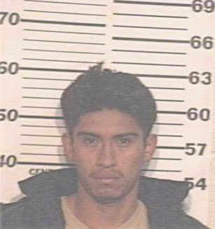 Hernandez Oscar - Hidalgo County, TX 