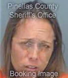 Hendry Ashley - Pinellas County, FL 