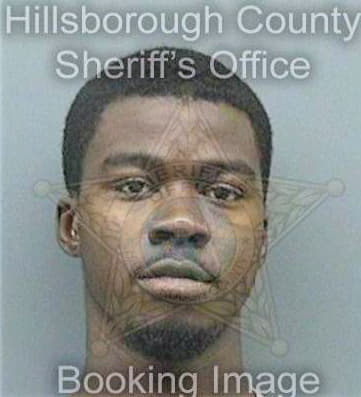 Brown Christopher - Hillsborough County, FL 