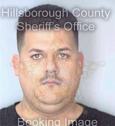 Schmidt David - Hillsborough County, FL 