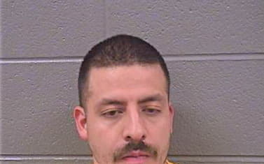 Avila Luis - Cook County, IL 