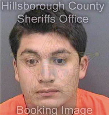 Lopezxolo Manuel - Hillsborough County, FL 