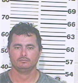 Hernandez Mario - Hidalgo County, TX 