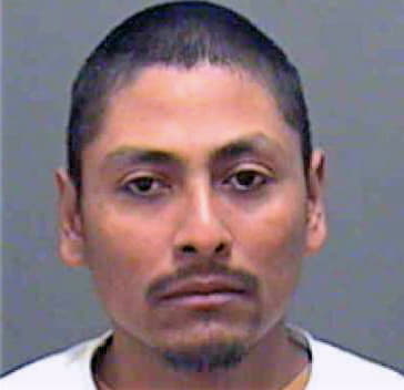 Mata Mario - Mecklenburg County, NC 