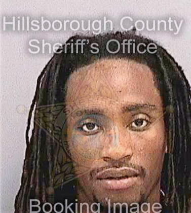 Jimerson Michael - Hillsborough County, FL 