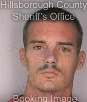 Swain Michael - Hillsborough County, FL 