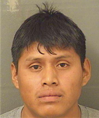 Gonzalezchaj Wilmer - PalmBeach County, FL 