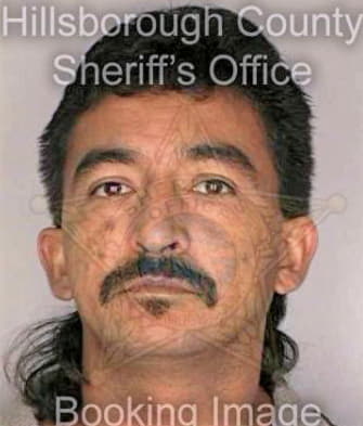 Davila Alfredo - Hillsborough County, FL 