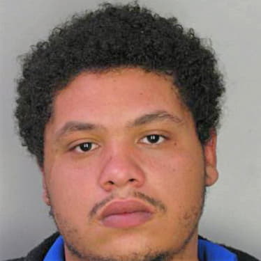 Correa Hershel - Hillsborough County, FL 