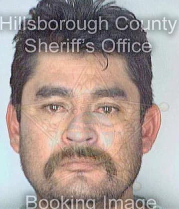 Espinoza Israel - Hillsborough County, FL 