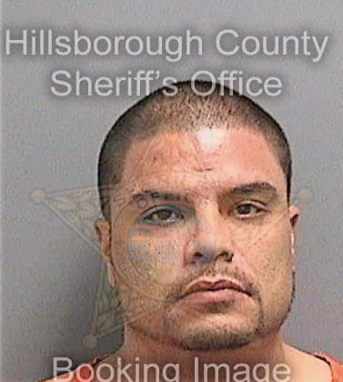 Mejiarosado Miguel - Hillsborough County, FL 