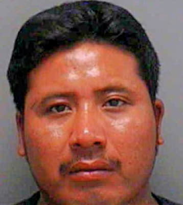 Ramos Santos - Lee County, FL 