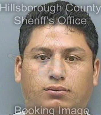 Silvavasquez Fredric - Hillsborough County, FL 