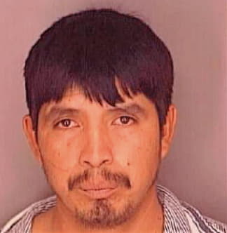 Deleon Jose - Polk County, FL 