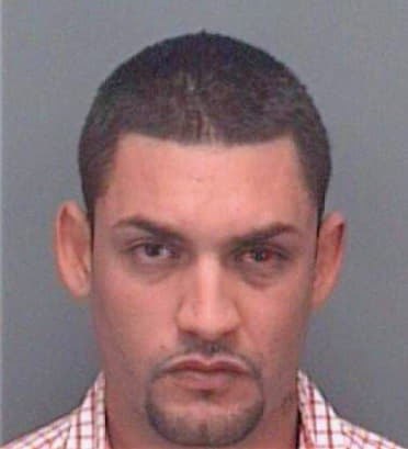 Miro Raphael - Pinellas County, FL 