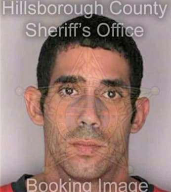 Barrios Reynaldo - Hillsborough County, FL 