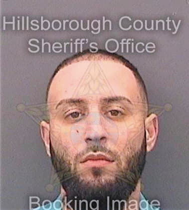 Brito Gabriel - Hillsborough County, FL 