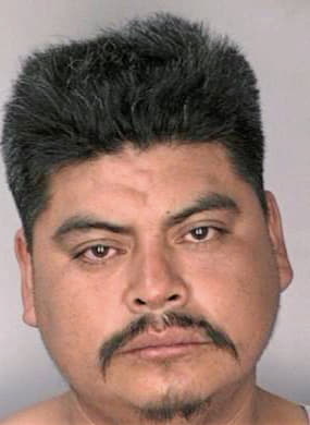 Lucasgomes Magnol - Hillsborough County, FL 