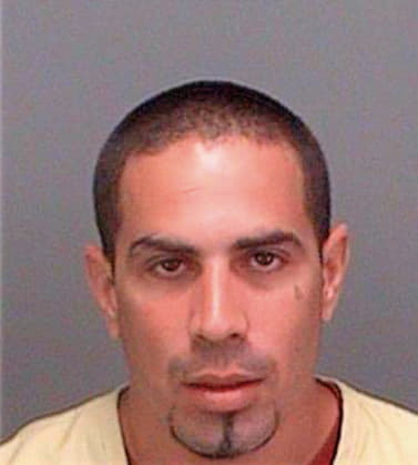 Aliceatorres Nahun - Pinellas County, FL 
