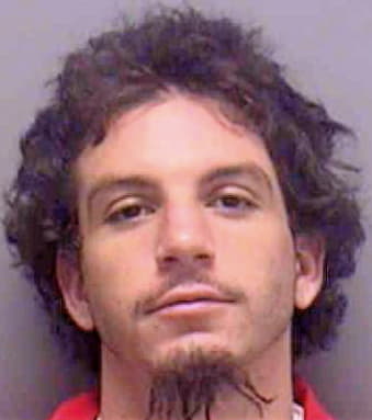 Reis Ronald - Lee County, FL 