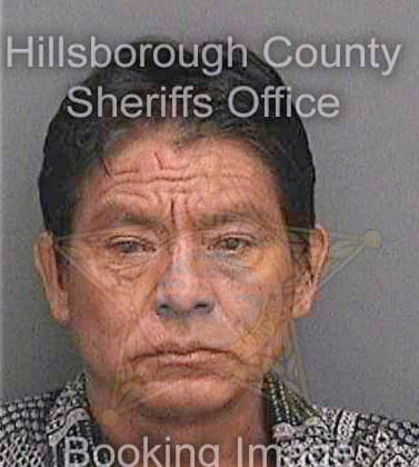 Salas Armando - Hillsborough County, FL 