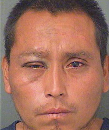 Martin Diego - PalmBeach County, FL 