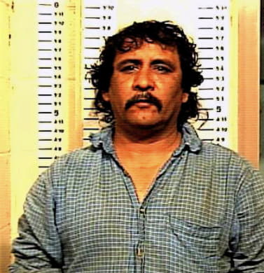 Hernandez Luis - Denton County, TX 