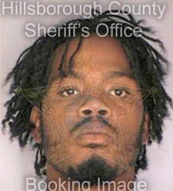 Robinson Altone - Hillsborough County, FL 