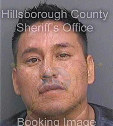 Arriagagarcia Jose - Hillsborough County, FL 
