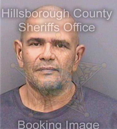 Bullatmendez Jose - Hillsborough County, FL 