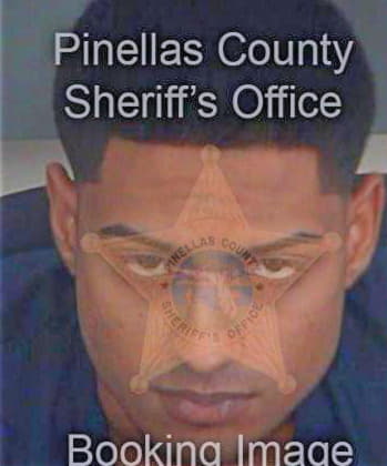 Ramkissoon Munaf - Pinellas County, FL 