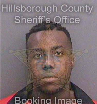 Everett Robert - Hillsborough County, FL 