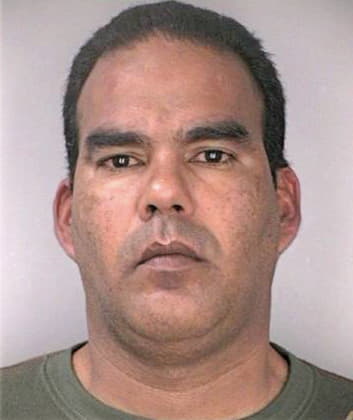Molano Rolando - Hillsborough County, FL 