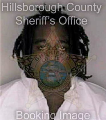 Williams Theodis - Hillsborough County, FL 