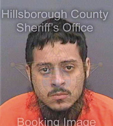 Sevilla Angel - Hillsborough County, FL 