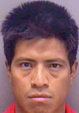 Velasquez Audencio - Lee County, FL 