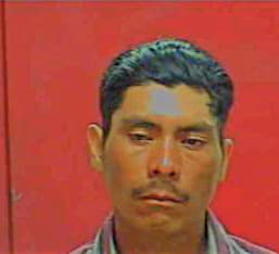 Gonzalez Bernardino - Rhea County, TN 
