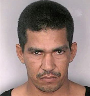 Maradiagaacosta Carlos - Hillsborough County, FL 