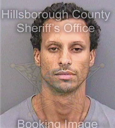 Maldonadoalamo Jose - Hillsborough County, FL 