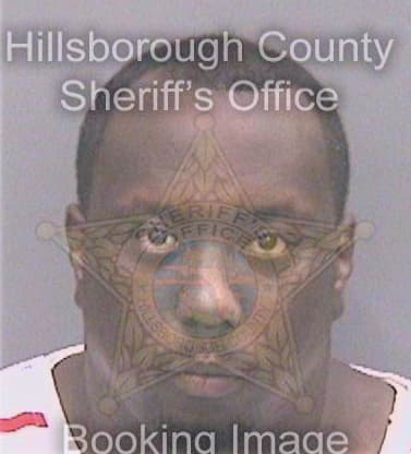 Williams Reginald - Hillsborough County, FL 