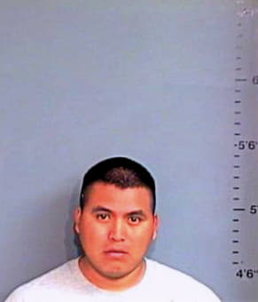 Gonzalez Calixto - Brazos County, TX 