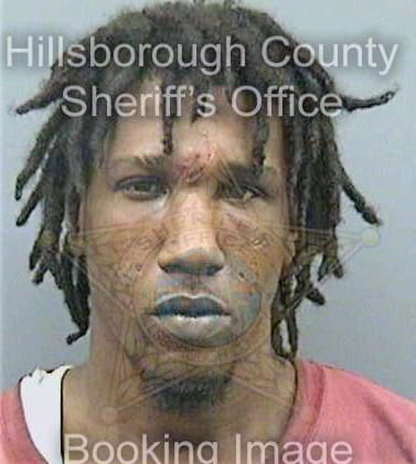 Johnson Larry - Hillsborough County, FL 