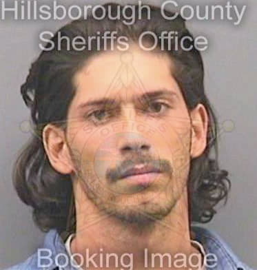 Ortiz Ruben - Hillsborough County, FL 