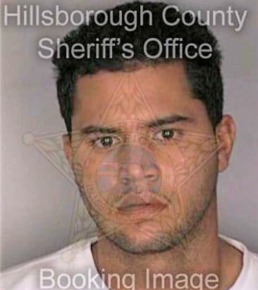 Lugo Daniel - Hillsborough County, FL 