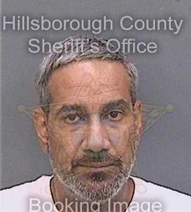 Martinez Luis - Hillsborough County, FL 